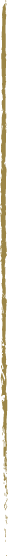 Center Line